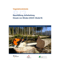 B/3 Baumfällung, Aufarbeitung, Einsatz von Winden (DGUV: Modul B)